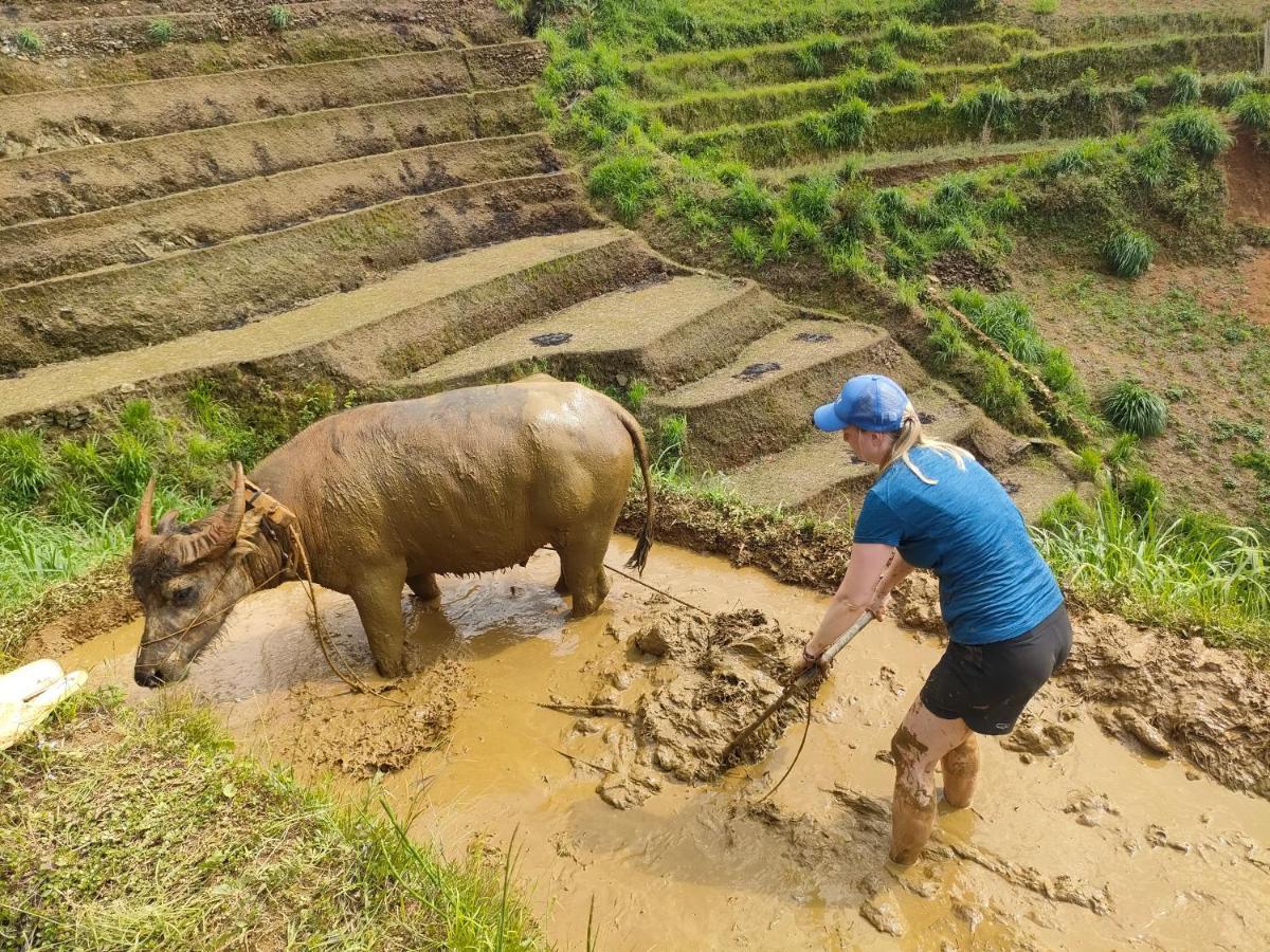 Indigenous Homestay- Trek- Food- Bus Mu Cang Chai Екстер'єр фото