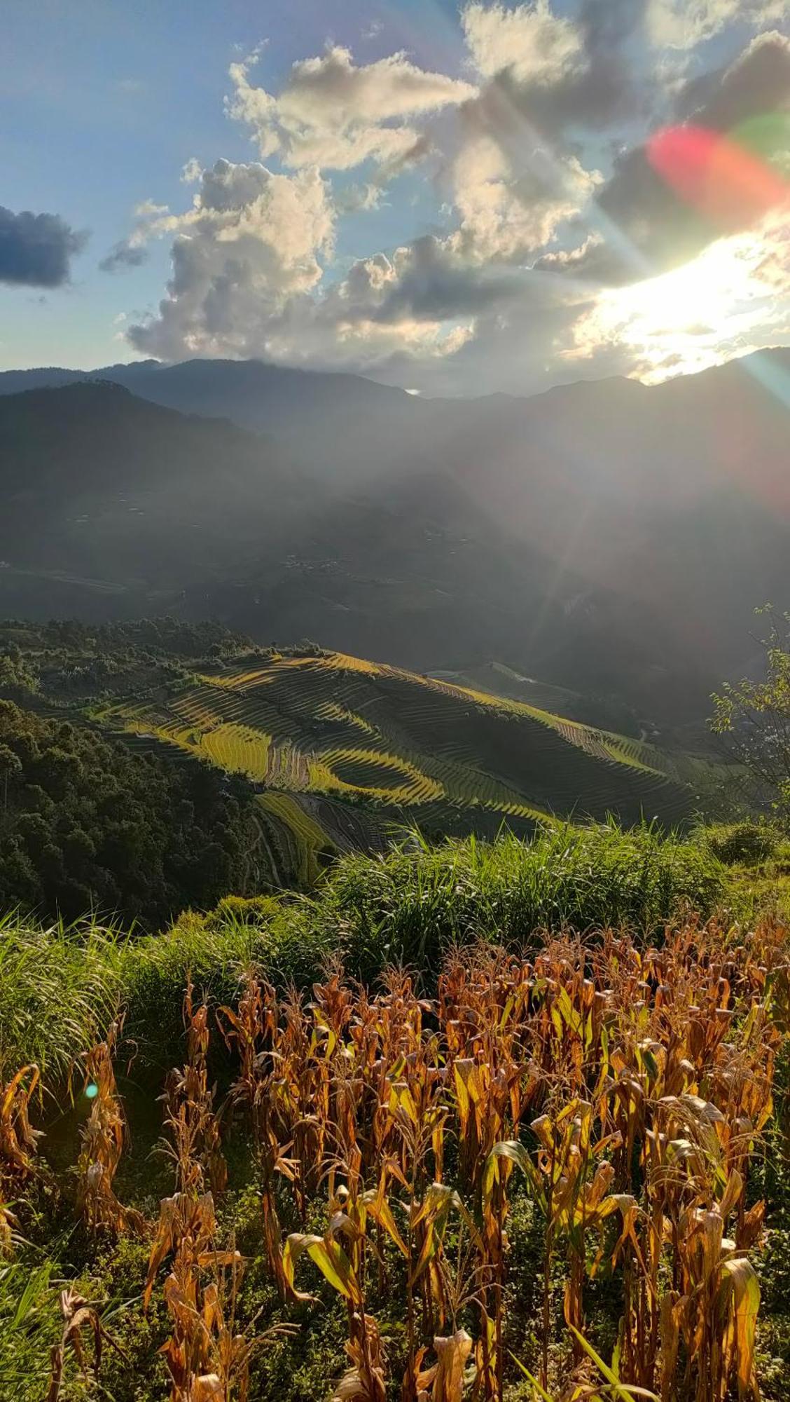 Indigenous Homestay- Trek- Food- Bus Mu Cang Chai Екстер'єр фото