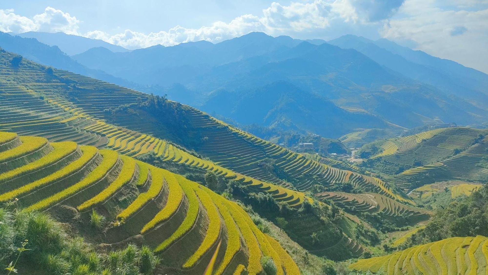 Indigenous Homestay- Trek- Food- Bus Mu Cang Chai Екстер'єр фото