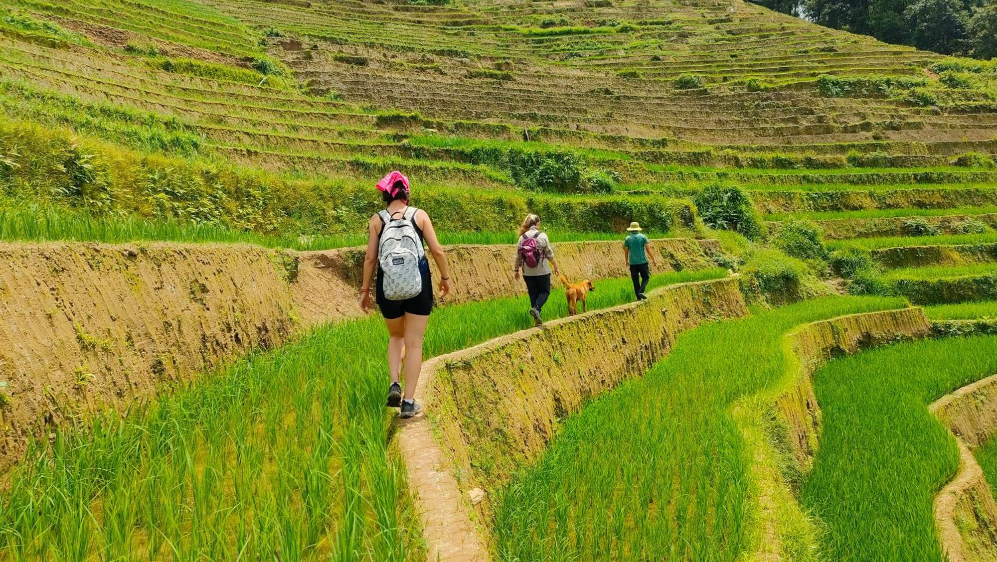 Indigenous Homestay- Trek- Food- Bus Mu Cang Chai Екстер'єр фото